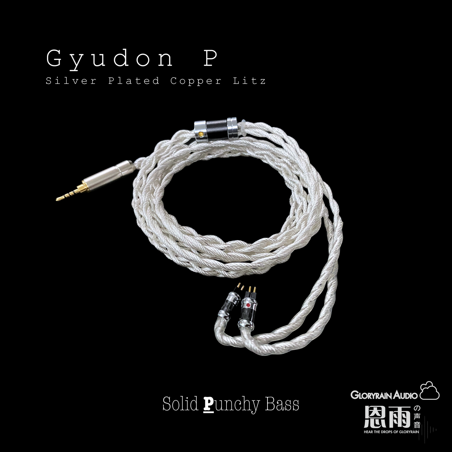 Gyudon P