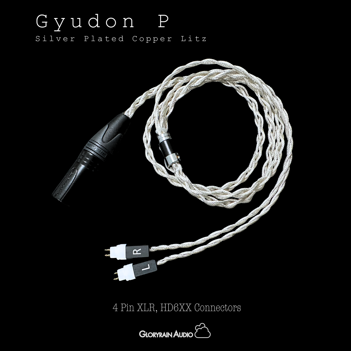 Gyudon P